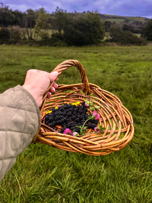 **The Joy of Walking in Pembrokeshire and the Magic of Blackberry Picking in Autumn**
