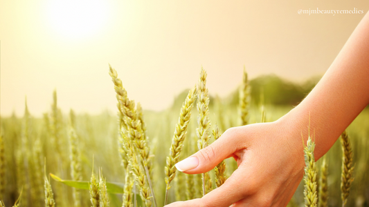 **Embracing Nature and Choosing Self-Care This Autumn**