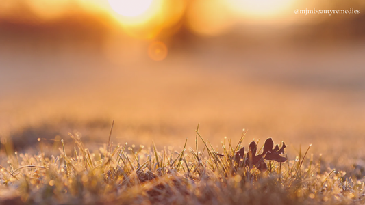 My Morning Skincare Ritual – A Simple Routine for a Fresh Start