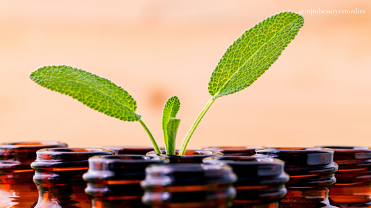 Why Aromatherapy Oils Are the Key to Natural Anti-Ageing